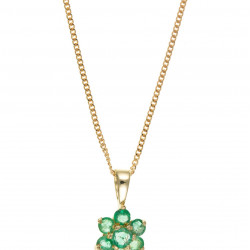 9ct Gold Emerald Pendant and chain AT0042