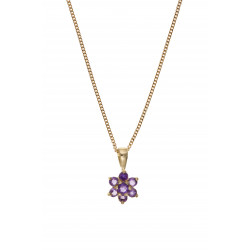 9ct Amethyst Pendant and Chain AT0041