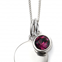 Birthstone Silver Pendant Febuary P4591