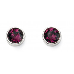 Birthstone Silver Studs Febuary E5560