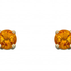 Birthstone 9ct Gold November Stud Earrings GE2336