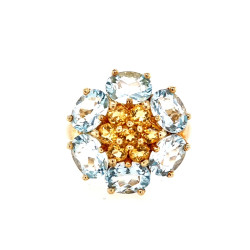 Pre Owned 9ct Blue and Yellow Stone Cluster Ring ZN41